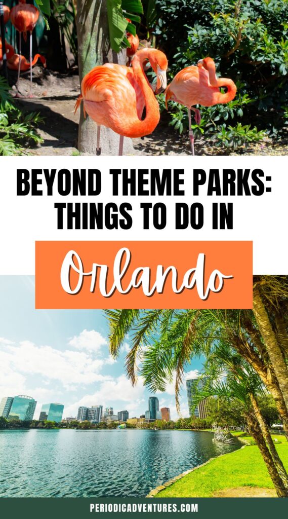Looking for the best things to do in Orlando besides theme parks? Click here to read 10 ideas of what to do in Orlando. Some of these include enjoying Orlando restaurants, shopping, and parks.