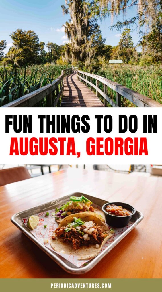 These fun things to do in Augusta Georgia will take you by surprise including the Phinizy Swamp Nature Center, Pexcho's American Dime Museum, the many sculptures and murals throughout town, candle making, a history museum, and arts festival!
