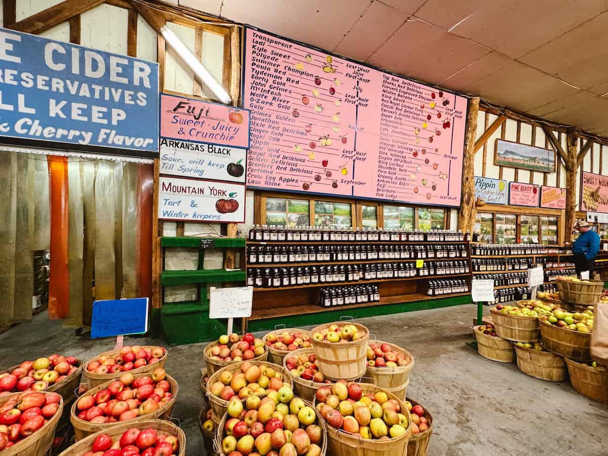 50 varieties of apples at Carver's Orchard in Cosby Tennessee
