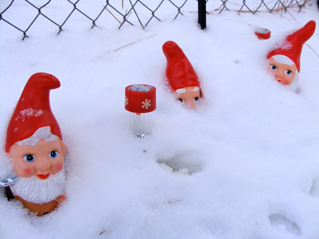 Three garden gnomes covered in snow in the SoCal mountains during winter