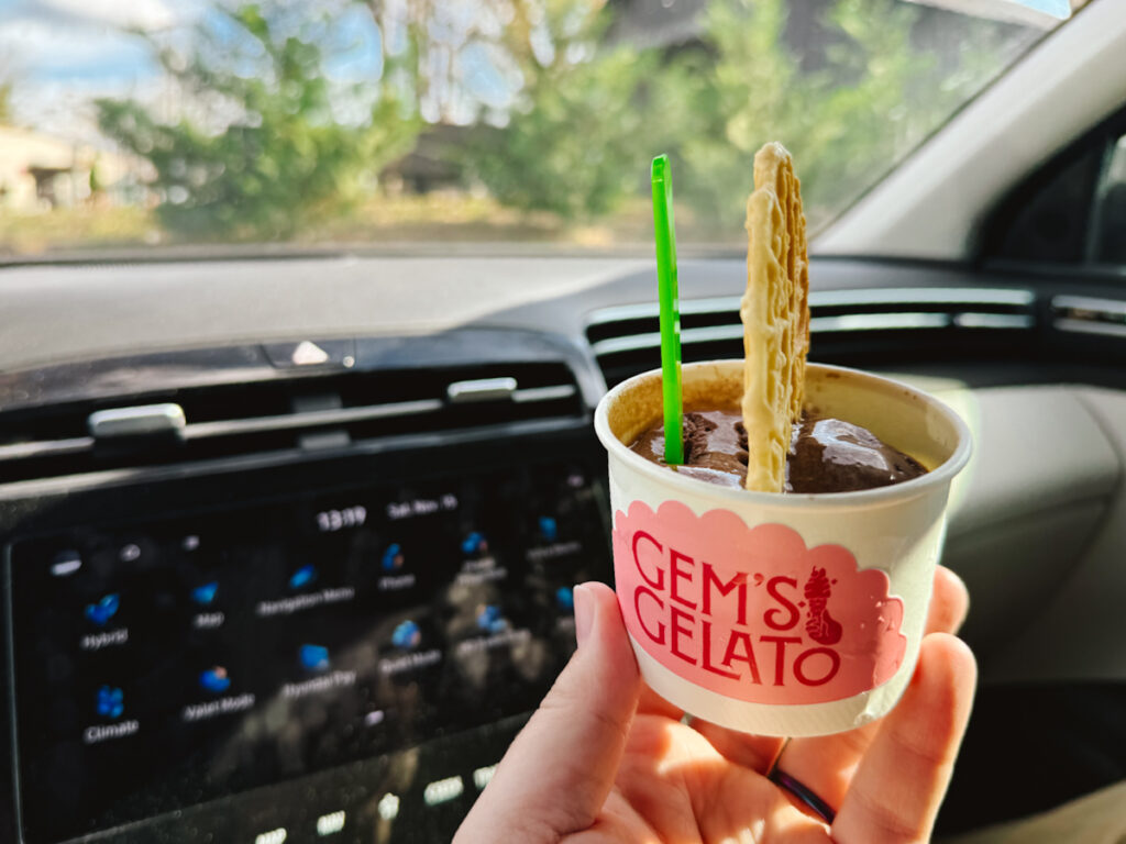 Inside a car, an outstretched hand holding a cup of gelato.
